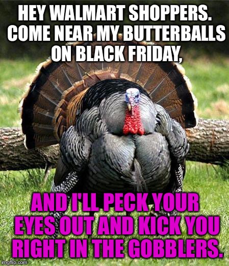 One pissed off Thanksgiving turkey | HEY WALMART SHOPPERS. COME NEAR MY BUTTERBALLS ON BLACK FRIDAY, AND I'LL PECK YOUR EYES OUT AND KICK YOU RIGHT IN THE GOBBLERS. | image tagged in thanksgiving day,turkey,pissed off,black friday at walmart,angry birds,kick | made w/ Imgflip meme maker