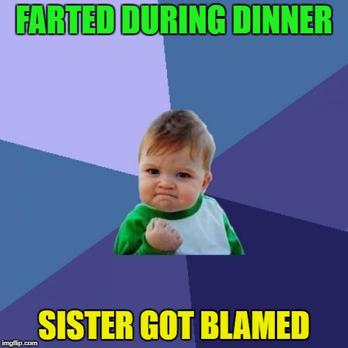 Success Kid | FARTED DURING DINNER; SISTER GOT BLAMED | image tagged in memes,success kid | made w/ Imgflip meme maker