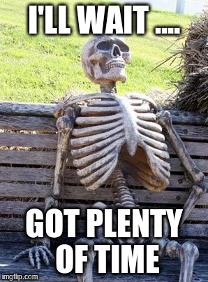 Waiting Skeleton Meme | I'LL WAIT .... GOT PLENTY OF TIME | image tagged in memes,waiting skeleton | made w/ Imgflip meme maker