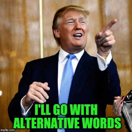 I'LL GO WITH ALTERNATIVE WORDS | made w/ Imgflip meme maker