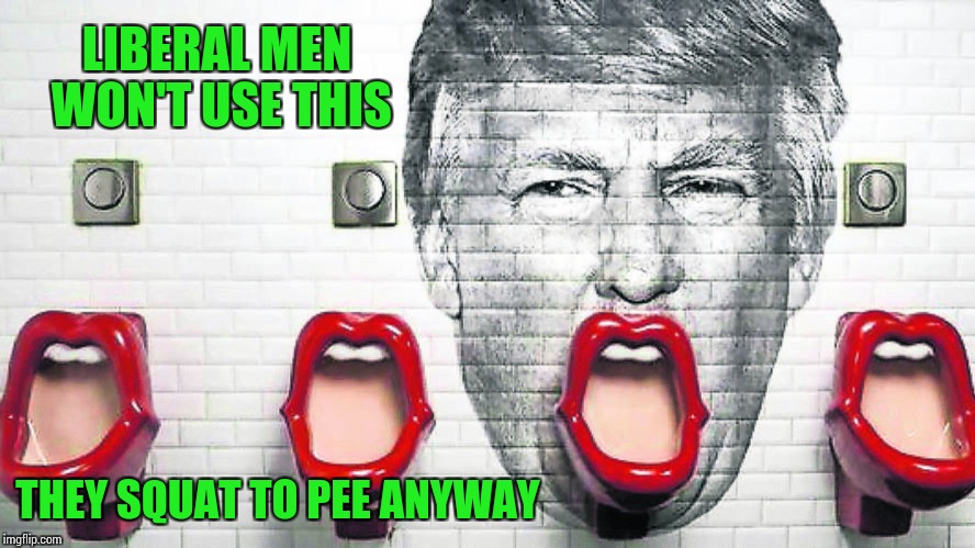 Is it political, yes. Is it sexist, yes. Do I care, no. "Art Week" A JBmemegeek, Sir_Unkown, and 3.141592654 event | LIBERAL MEN WON'T USE THIS; THEY SQUAT TO PEE ANYWAY | image tagged in art week,trump,jbmemegeek,sir_unknown,3141592654,pipe_picasso | made w/ Imgflip meme maker