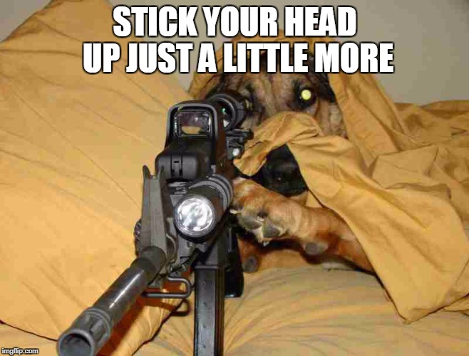 STICK YOUR HEAD UP JUST A LITTLE MORE | made w/ Imgflip meme maker