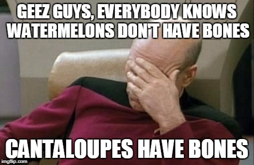 Captain Picard Facepalm Meme | GEEZ GUYS, EVERYBODY KNOWS WATERMELONS DON'T HAVE BONES CANTALOUPES HAVE BONES | image tagged in memes,captain picard facepalm | made w/ Imgflip meme maker
