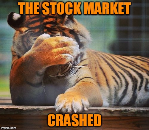 THE STOCK MARKET CRASHED | made w/ Imgflip meme maker