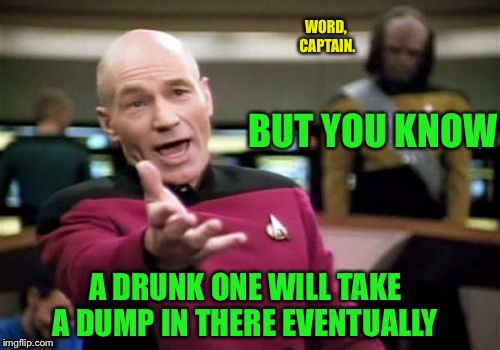 Picard Wtf Meme | BUT YOU KNOW A DRUNK ONE WILL TAKE A DUMP IN THERE EVENTUALLY WORD, CAPTAIN. | image tagged in memes,picard wtf | made w/ Imgflip meme maker