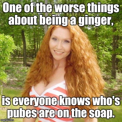 Ginger | One of the worse things about being a ginger, is everyone knows who's pubes are on the soap. | image tagged in ginger | made w/ Imgflip meme maker