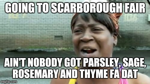 Ain't Nobody Got Time For That Meme | GOING TO SCARBOROUGH FAIR AIN'T NOBODY GOT PARSLEY, SAGE, ROSEMARY AND THYME FA DAT | image tagged in memes,aint nobody got time for that | made w/ Imgflip meme maker