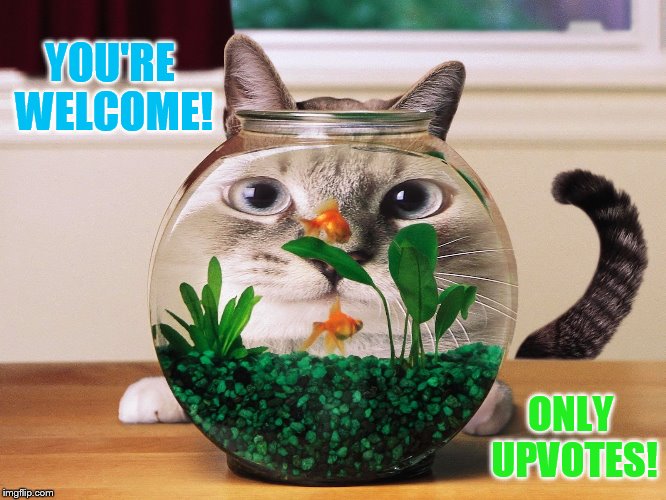 YOU'RE WELCOME! ONLY UPVOTES! | made w/ Imgflip meme maker
