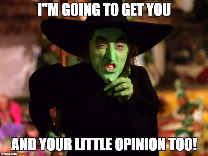 Who cares what you think? | I''M GOING TO GET YOU; AND YOUR LITTLE OPINION TOO! | image tagged in opinion disagree wicked witch | made w/ Imgflip meme maker