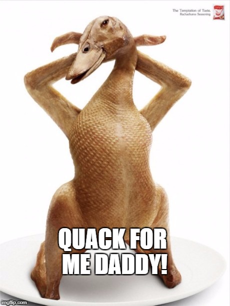 QUACK FOR ME DADDY! | QUACK FOR ME DADDY! | image tagged in daddy,duck,sexy | made w/ Imgflip meme maker