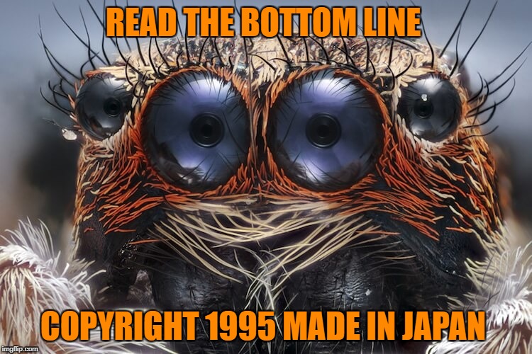READ THE BOTTOM LINE; COPYRIGHT 1995 MADE IN JAPAN | image tagged in spider | made w/ Imgflip meme maker