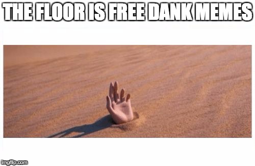 THE FLOOR IS FREE DANK MEMES | image tagged in the floor is something good | made w/ Imgflip meme maker