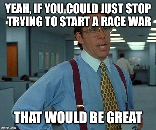 That Would Be Great | YEAH, IF YOU COULD JUST STOP TRYING TO START A RACE WAR; THAT WOULD BE GREAT | image tagged in memes,that would be great | made w/ Imgflip meme maker