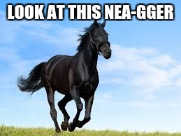 horse | LOOK AT THIS NEA-GGER | image tagged in horse | made w/ Imgflip meme maker