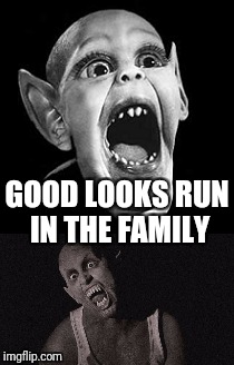 GOOD LOOKS RUN IN THE FAMILY | made w/ Imgflip meme maker