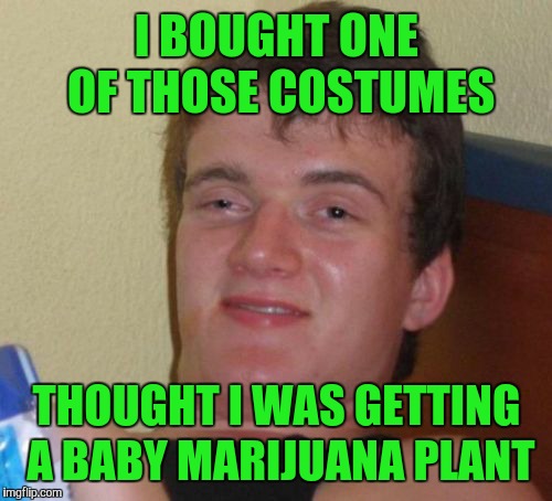 10 Guy Meme | I BOUGHT ONE OF THOSE COSTUMES THOUGHT I WAS GETTING A BABY MARIJUANA PLANT | image tagged in memes,10 guy | made w/ Imgflip meme maker