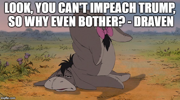 LOOK, YOU CAN'T IMPEACH TRUMP, SO WHY EVEN BOTHER? - DRAVEN | made w/ Imgflip meme maker