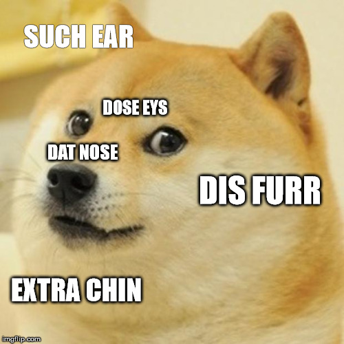 Doge Meme | SUCH EAR; DOSE EYS; DAT NOSE; DIS FURR; EXTRA CHIN | image tagged in memes,doge | made w/ Imgflip meme maker