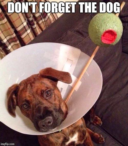 DON'T FORGET THE DOG | made w/ Imgflip meme maker