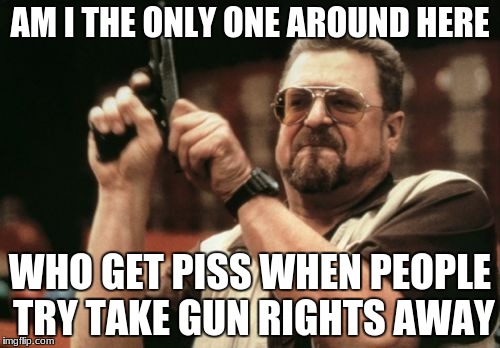 Am I The Only One Around Here | AM I THE ONLY ONE AROUND HERE; WHO GET PISS WHEN PEOPLE TRY TAKE GUN RIGHTS AWAY | image tagged in memes,am i the only one around here | made w/ Imgflip meme maker