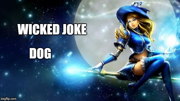 WICKED JOKE DOG | image tagged in flying witch | made w/ Imgflip meme maker