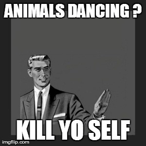 Kill Yourself Guy Meme | ANIMALS DANCING ? KILL YO SELF | image tagged in memes,kill yourself guy | made w/ Imgflip meme maker