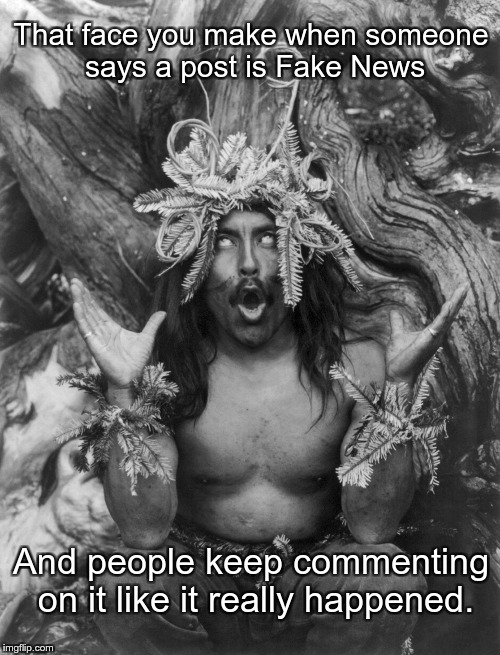 full shaman | That face you make when someone says a post is Fake News; And people keep commenting on it like it really happened. | image tagged in full shaman | made w/ Imgflip meme maker