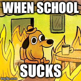 Dog in burning house | WHEN SCHOOL; SUCKS | image tagged in dog in burning house | made w/ Imgflip meme maker