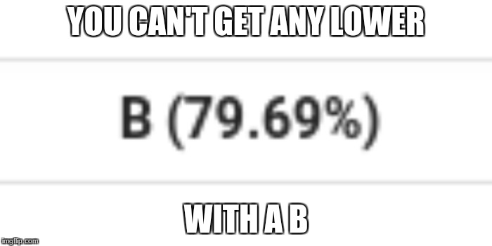 You Can't Get Any Lower | YOU CAN'T GET ANY LOWER; WITH A B | image tagged in grades | made w/ Imgflip meme maker