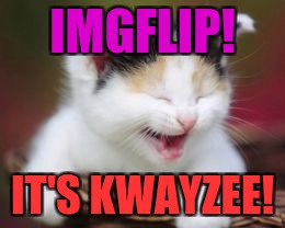 IMGFLIP! IT'S KWAYZEE! :D | IMGFLIP! IT'S KWAYZEE! | image tagged in funny,memes,cats,animals,imgflip,hamsters made of fire save the universe | made w/ Imgflip meme maker