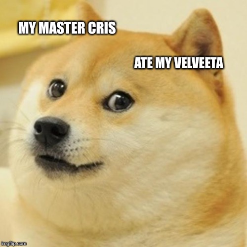 Doge Meme | MY MASTER CRIS; ATE MY VELVEETA | image tagged in memes,doge | made w/ Imgflip meme maker