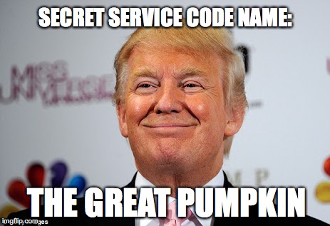 Donald trump approves | SECRET SERVICE CODE NAME:; THE GREAT PUMPKIN | image tagged in donald trump approves | made w/ Imgflip meme maker