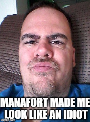 Scowl | MANAFORT MADE ME LOOK LIKE AN IDIOT | image tagged in scowl | made w/ Imgflip meme maker