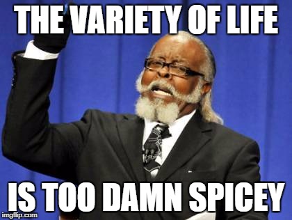 Too Damn High Meme | THE VARIETY OF LIFE IS TOO DAMN SPICEY | image tagged in memes,too damn high | made w/ Imgflip meme maker