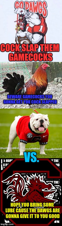 gamecocks gonna get there cock slapped | COCK SLAP THEM GAMECOCKS; BEWARE GAMECOCKS YOU GONNA GET YOU COCK SLAPPED; VS. HOPE YOU BRING SOME LUBE CAUSE THE DAWGS ARE GONNA GIVE IT TO YOU GOOD | image tagged in uga,sc,saturday,bulldogs,gamecocks | made w/ Imgflip meme maker