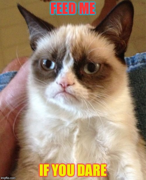 Grumpy Cat Meme | FEED ME; IF YOU DARE | image tagged in memes,grumpy cat | made w/ Imgflip meme maker