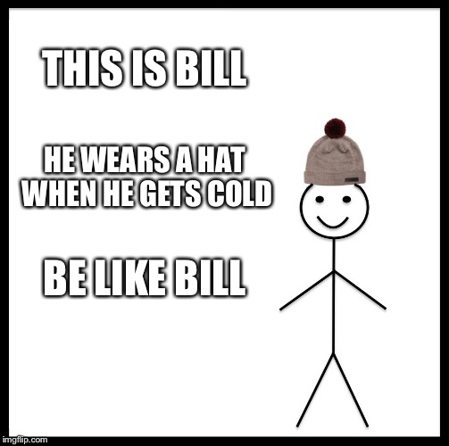 Just Dress For The Cold | THIS IS BILL; HE WEARS A HAT WHEN HE GETS COLD; BE LIKE BILL | image tagged in memes,be like bill,cold weather | made w/ Imgflip meme maker