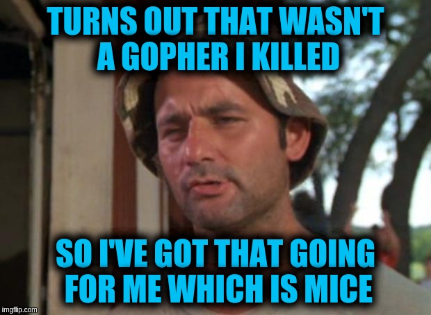So I Got That Goin For Me Which Is Nice | TURNS OUT THAT WASN'T A GOPHER I KILLED; SO I'VE GOT THAT GOING FOR ME WHICH IS MICE | image tagged in memes,so i got that goin for me which is nice | made w/ Imgflip meme maker