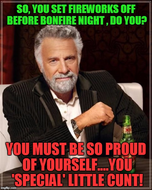 Firework cunts | SO, YOU SET FIREWORKS OFF BEFORE BONFIRE NIGHT , DO YOU? YOU MUST BE SO PROUD OF YOURSELF....YOU 'SPECIAL' LITTLE CUNT! | image tagged in memes,the most interesting man in the world,fireworks,cunts,cunt | made w/ Imgflip meme maker