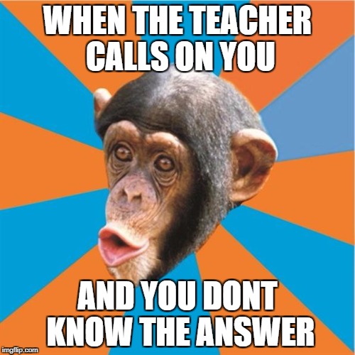 Monkey | WHEN THE TEACHER CALLS ON YOU; AND YOU DONT KNOW THE ANSWER | image tagged in monkey | made w/ Imgflip meme maker