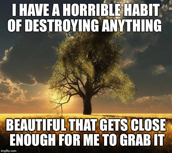 Tree of Life | I HAVE A HORRIBLE HABIT OF DESTROYING ANYTHING; BEAUTIFUL THAT GETS CLOSE ENOUGH FOR ME TO GRAB IT | image tagged in tree of life | made w/ Imgflip meme maker