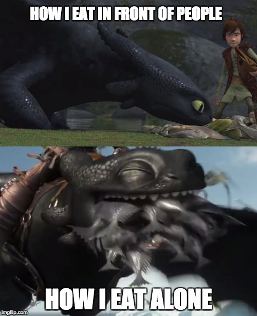 HOW I EAT IN FRONT OF PEOPLE; HOW I EAT ALONE | image tagged in toothless,how to train your dragon | made w/ Imgflip meme maker