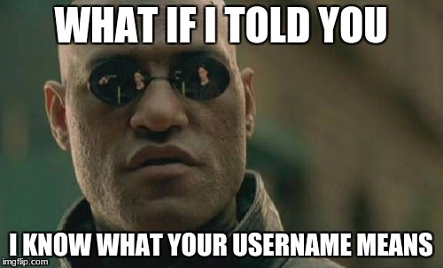 Matrix Morpheus Meme | WHAT IF I TOLD YOU I KNOW WHAT YOUR USERNAME MEANS | image tagged in memes,matrix morpheus | made w/ Imgflip meme maker