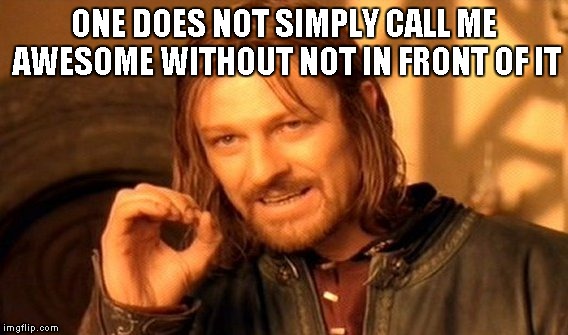 One Does Not Simply Meme | ONE DOES NOT SIMPLY CALL ME AWESOME WITHOUT NOT IN FRONT OF IT | image tagged in memes,one does not simply | made w/ Imgflip meme maker