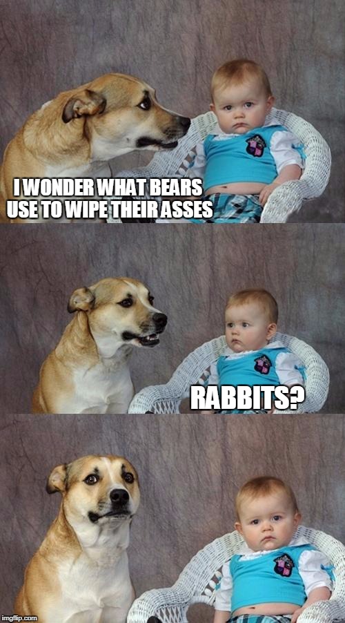 here's a bunny meme for you | I WONDER WHAT BEARS USE TO WIPE THEIR ASSES; RABBITS? | image tagged in memes,dad joke dog | made w/ Imgflip meme maker