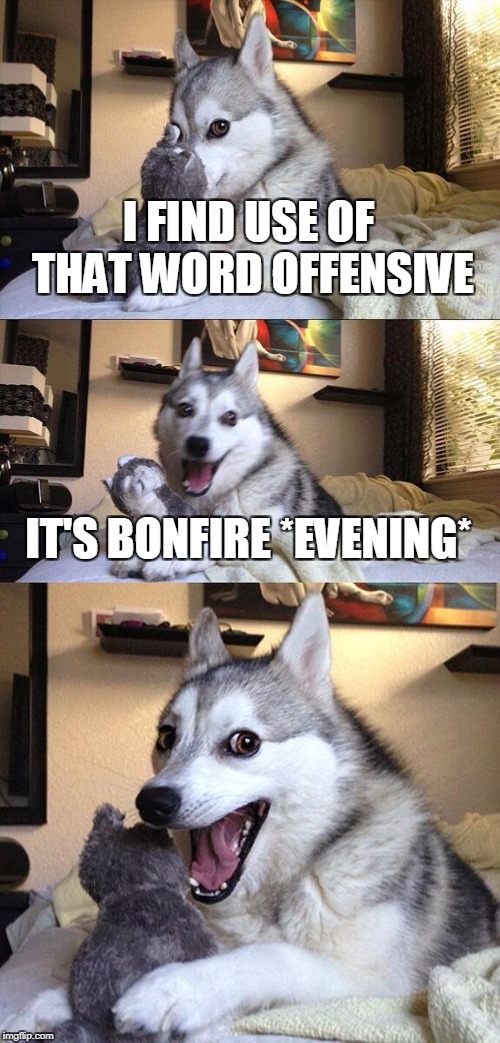 Bad Pun Dog Meme | I FIND USE OF THAT WORD OFFENSIVE IT'S BONFIRE *EVENING* | image tagged in memes,bad pun dog | made w/ Imgflip meme maker