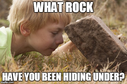 WHAT ROCK HAVE YOU BEEN HIDING UNDER? | made w/ Imgflip meme maker