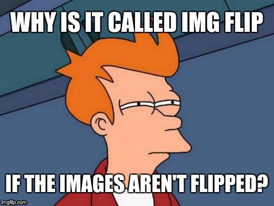 ¿ʍouʞ ʇuop I | WHY IS IT CALLED IMG FLIP; IF THE IMAGES AREN'T FLIPPED? | image tagged in memes,futurama fry | made w/ Imgflip meme maker