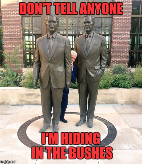 Bill in the Bushes | DON'T TELL ANYONE; I'M HIDING IN THE BUSHES | image tagged in bill in the bushes | made w/ Imgflip meme maker