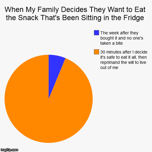 When My Family Decides They Want to Eat the Snack That's Been Sitting in the Fridge | 30 minutes after I decide it's safe to eat it all, the | image tagged in funny,pie charts | made w/ Imgflip chart maker